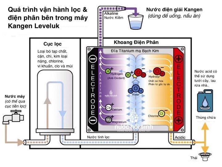 cơ chế điện phân máy Kangen