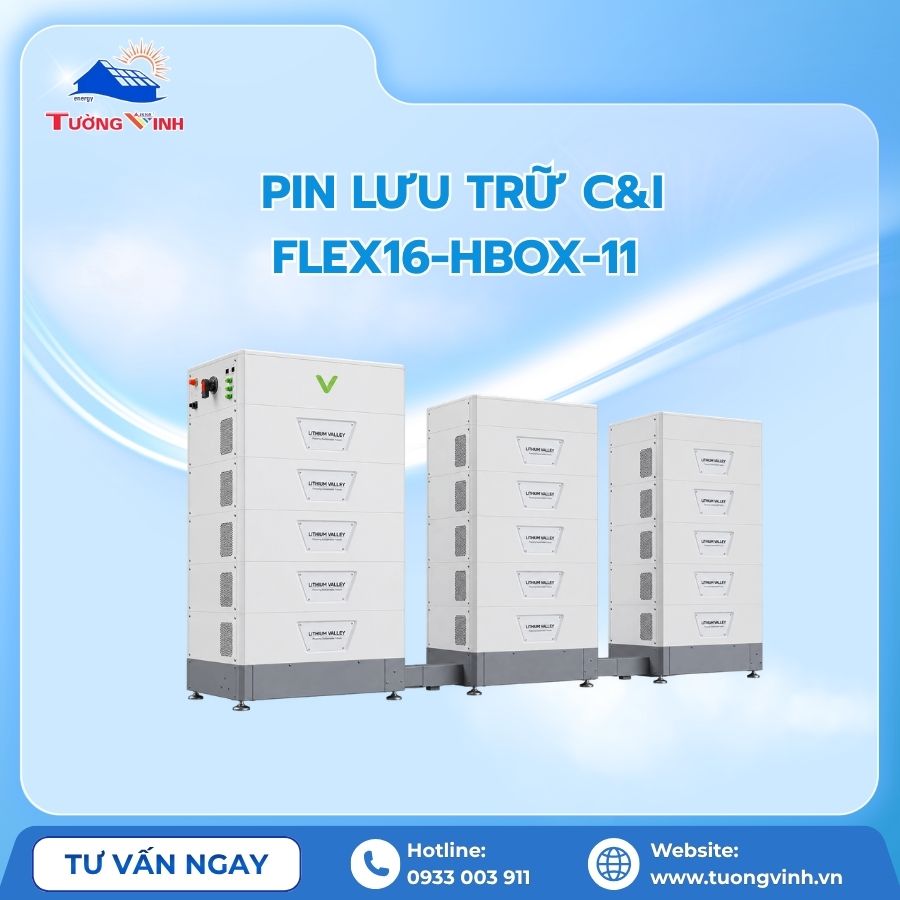 Pin Lưu Trữ C&I Flex16-HBox-11